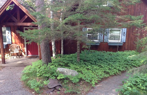 Bemidji Cabin | Charming Northwoods Lake Cabin and Guest Cabin in Private, Natural Setting