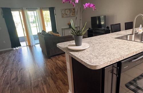 Balm House | Charming & Peaceful 3-Bedroom Townhome with Lakeview & Amenities