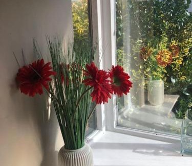 Chapelizod Apartment | Charming Pheonix Parkside Flat