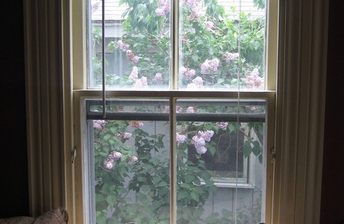 Provincetown House | Charming, Private, 1600SF 1860s West End Provincetown House and Garden