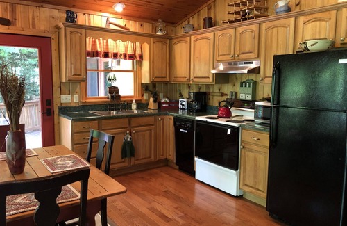 Mirror Lake Cabin | Charming Private Getaway Nestled in Trees; Close to Town!