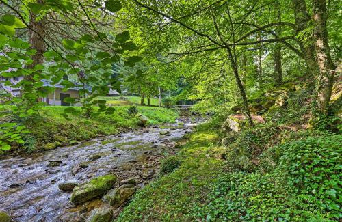 Roan Mountain House | Charming Roan Mtn Cabin Across from Creek!