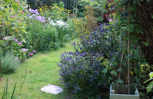 Trigny Cottage | Charming romantic house , in a Champagne winegrowers' village, close to Reims