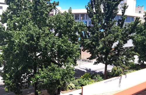 Centre Ville d'Ales Apartment | Charming Studio at the foot of the Cevennes:Ideal location in Alès.