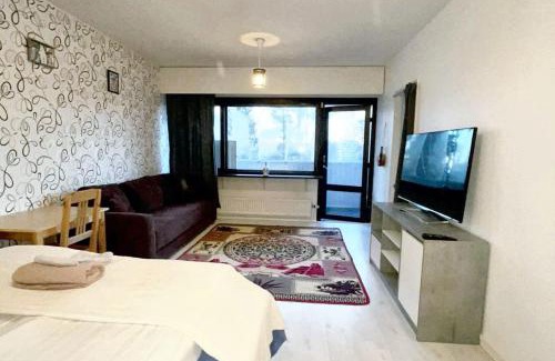 Alppiharju Apartment | Charming studio in Helsinki 42 m² with pool view