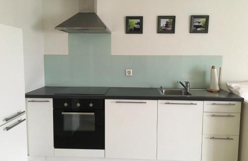 Ebikon Apartment | Charming Studio near Rotsee Lucerne Kitchen, WiFi, Washing machine