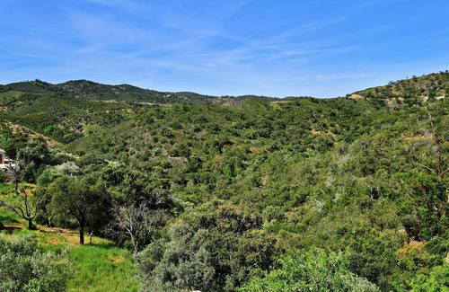 Fonte do Bispo Other | Charming traditional Portuguese house - a small slice of Paradise