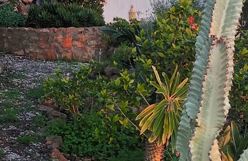 Silves Villa | Charming Villa, exotic and peaceful Garden, very private, nearby beaches, airco