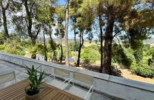 Giannades Villa | Charming Villa for nature lovers in Theotoky Estate Vineyard and olive mill