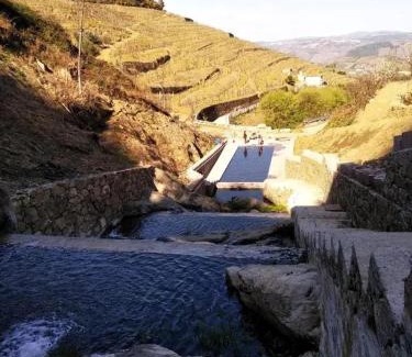 Lamego Villa | Charming Villa with Pool in Lamego