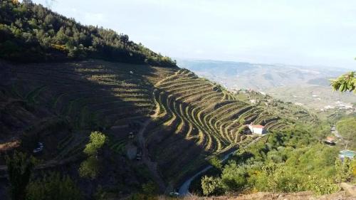 Lamego Villa | Charming Villa with Pool in Lamego