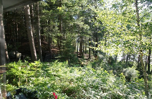 Freeport Cabin | Charming Waterfront Cabin in the Woods