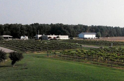 Berlin Center House | Charming Weekend Getaway Located on a Vineyard near Cleveland, Ohio
