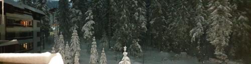 Borovets Apartment | Charming Winter Studio