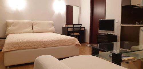 Borovets Apartment | Charming Winter Studio