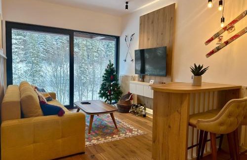Bjelasnica Apartment | Charmy mountain suite in hotel Phoenix