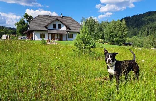 Cisna House | CHATA NA KOŃCU ŚWIATA