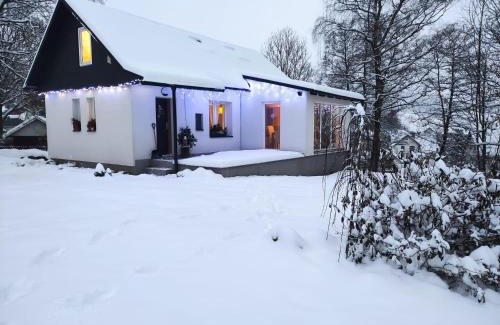 Bela pod Pradedem House | Chata nad potokem