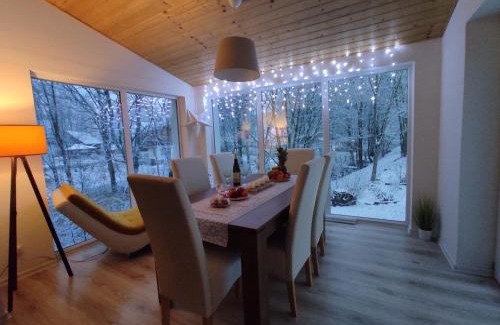 Bela pod Pradedem House | Chata nad potokem