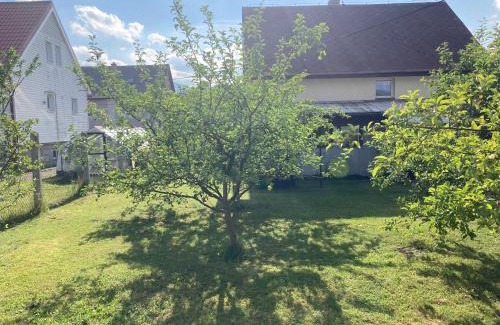 Bela pod Pradedem Apartment | Chata u medvěda
