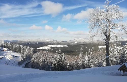 Bila Ski Chalet | Chata Wostry