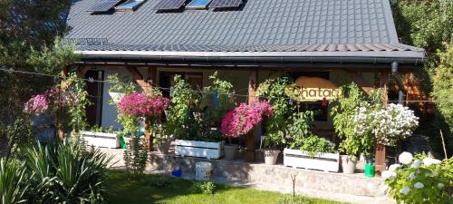 Pisz House | Chataa