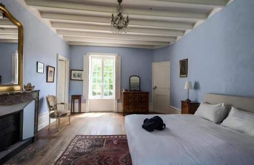 Villiers-au-Bouin Villa | Château in Touraine with Private Park