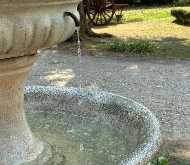 Bayon-sur-Gironde Bed & Breakfast | Chateau La Croix De Millorit