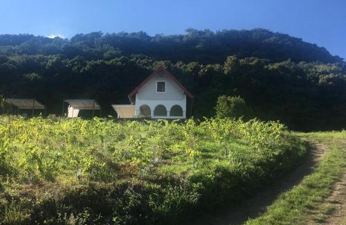 Gyulakeszi Apartment | Chateau Segesdi BorApartman