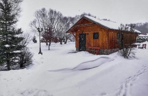 Liptovsky Mikulas House | Chatka 428 a 429 - Tatralandia