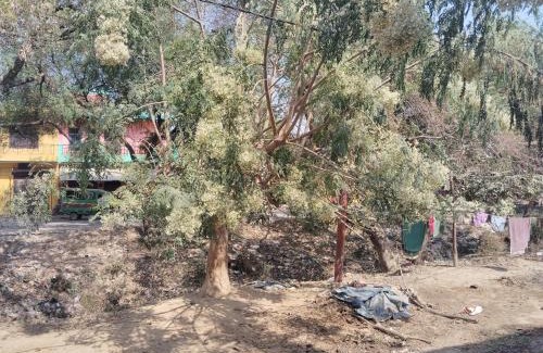 Naini House | Chauhans house