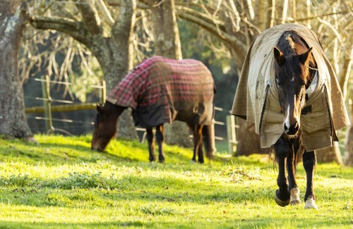 Mount Burnett Apartment | Chayah Farm Stay luxury in the Dandenong Ranges