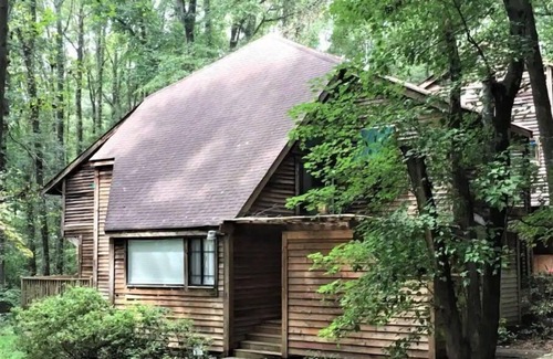Decatur Cabin | Cheerful cabin, tucked away, for nature lovers.