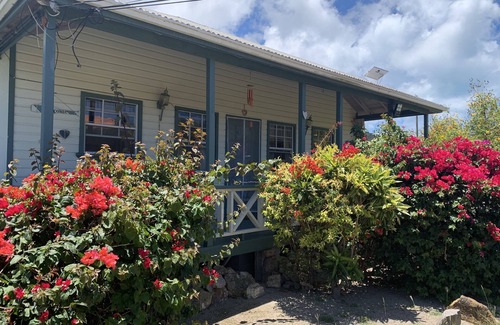Cedar Grove Cottage | Cheerful cottage with big garden 5 min to the beach 10 min to AUA