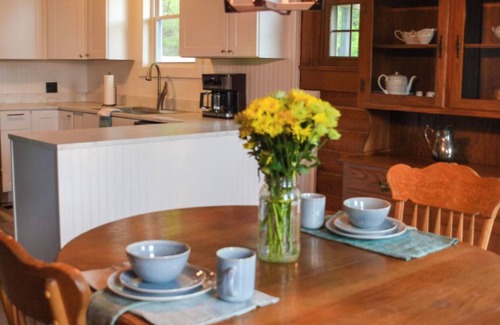 Eagleville Cabin | Cheerful Cozy Retreat - 3 BR - Newly Renovated