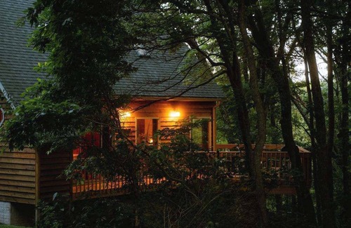 Rockbridge Cabin | Cheerful Two Bdrm Cabin With Hot Tub & Pet Friendly