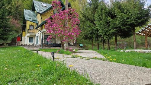 Bradetu House | Cheile Valsanului