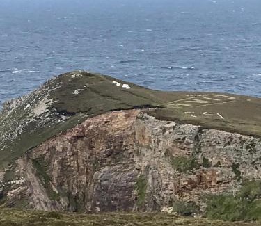 Ross Port House | Cherry blossom Erris
