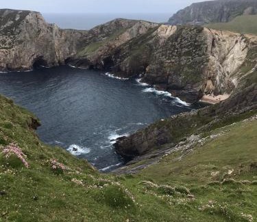 Ross Port House | Cherry blossom Erris