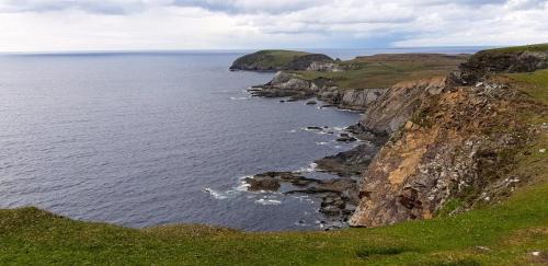 Ross Port House | Cherry blossom Erris