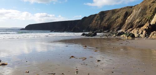 Ross Port House | Cherry blossom Erris