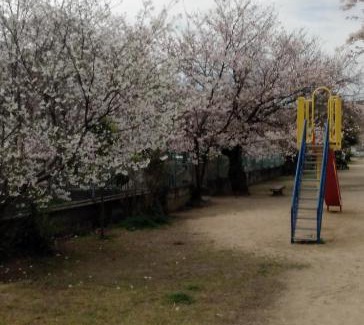 Kita Ward Apartment | Cherry Blossom Koseicho