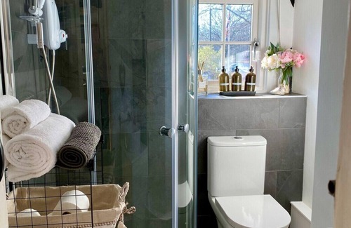 Ardingly House | Chestnut Tree