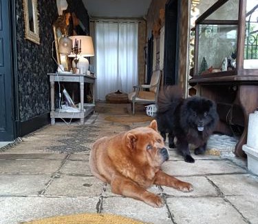 Champdeniers Bed & Breakfast | Chez Célia Bed&Breakfast