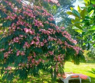 Tregunc Bed & Breakfast | Chez Coco