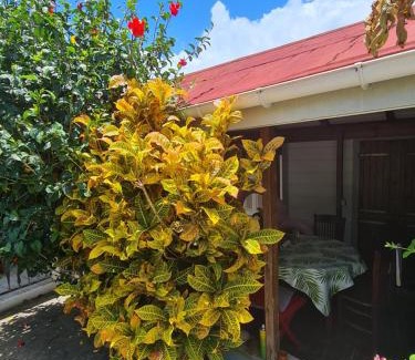 Le Marigot House | Chez Gisèle et Philippe