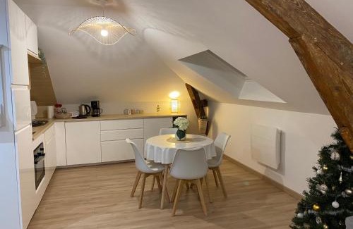 Charleville-Mezieres Apartment | Chez Gustave charmant T2, 4 min place Ducale