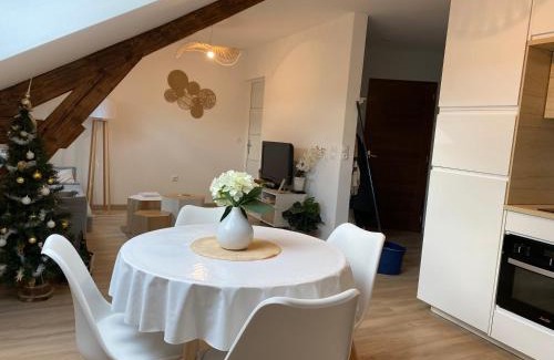 Charleville-Mezieres Apartment | Chez Gustave charmant T2, 4 min place Ducale
