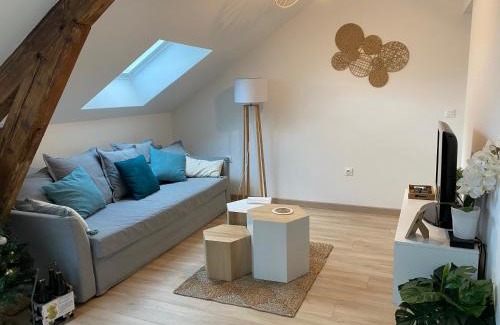 Charleville-Mezieres Apartment | Chez Gustave charmant T2, 4 min place Ducale
