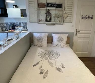 Centre Ville Apartment | Chez Jean-Yves et Zoé - LE CARPE DIEM - Au calme, Très propre, Proche parkings